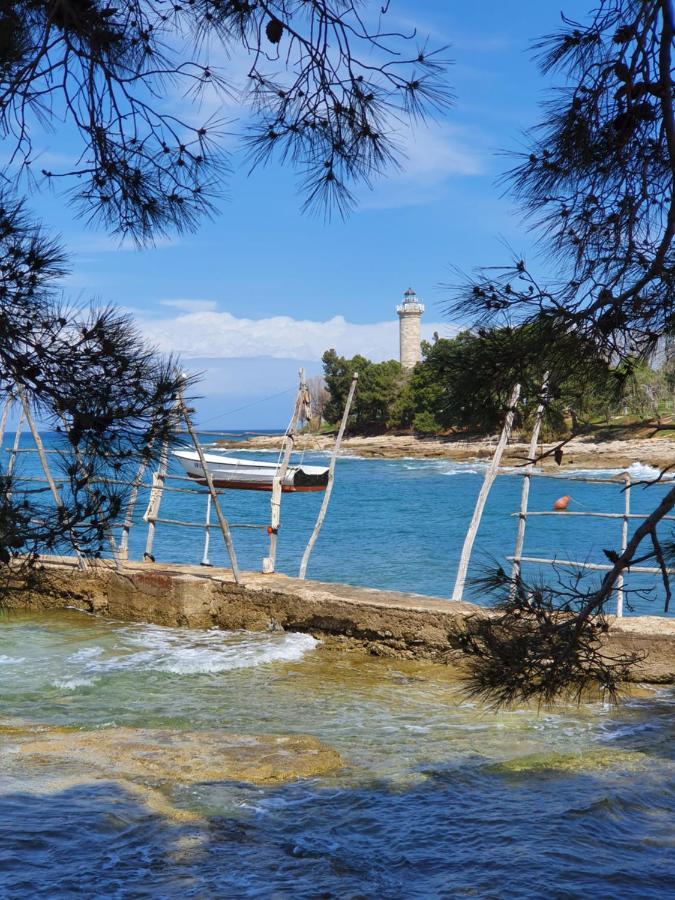 Lavanda Samarin Zambratija  Dış mekan fotoğraf
